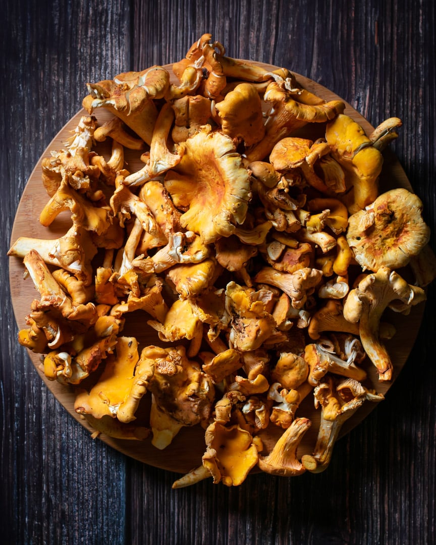 chanterelle mushrooms on round wooden plate on dark background