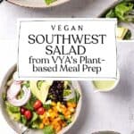 Pin for Vegan Southwest Salad.