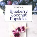 Vegan Blueberry Coconut Popsicles