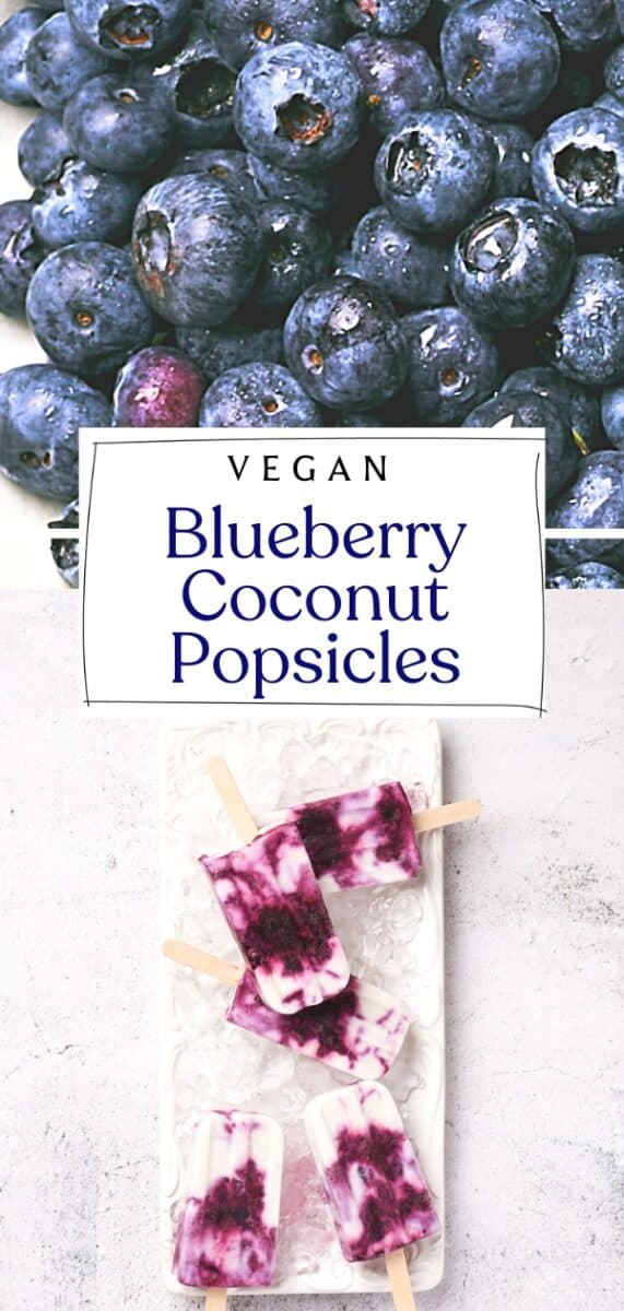 Vegan Blueberry Coconut Popsicles