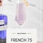 Pin for Meyer Lemon French 75 recipe on Resplendent Kitchen blog.