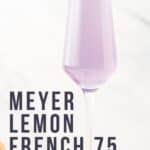 Pin for Meyer Lemon French 75
