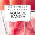 Pin for Watermelon Water recipe on Resplendent Kitchen blog.