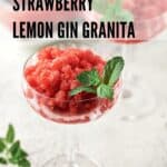 Pin for strawberry lemon gin granita