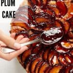 Pin for Vegan Plum Almond Cake