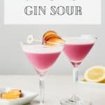 Pin for Plum Ginger Gin Sour Recipe on Resplendent Kitchen blog.