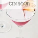 Pin for Plum Ginger Gin Sour on Resplendent Kitchen.