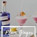 Pin for Plum Ginger Gin Sour Recipe on Resplendent Kitchen Blog.