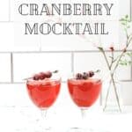 Pin for Sparkling Cranberry Mocktail