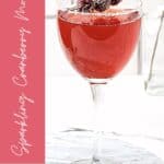 Pin for Sparkling Cranberry Mocktail