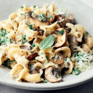 Side view of vegan creamy mushroom pasta.
