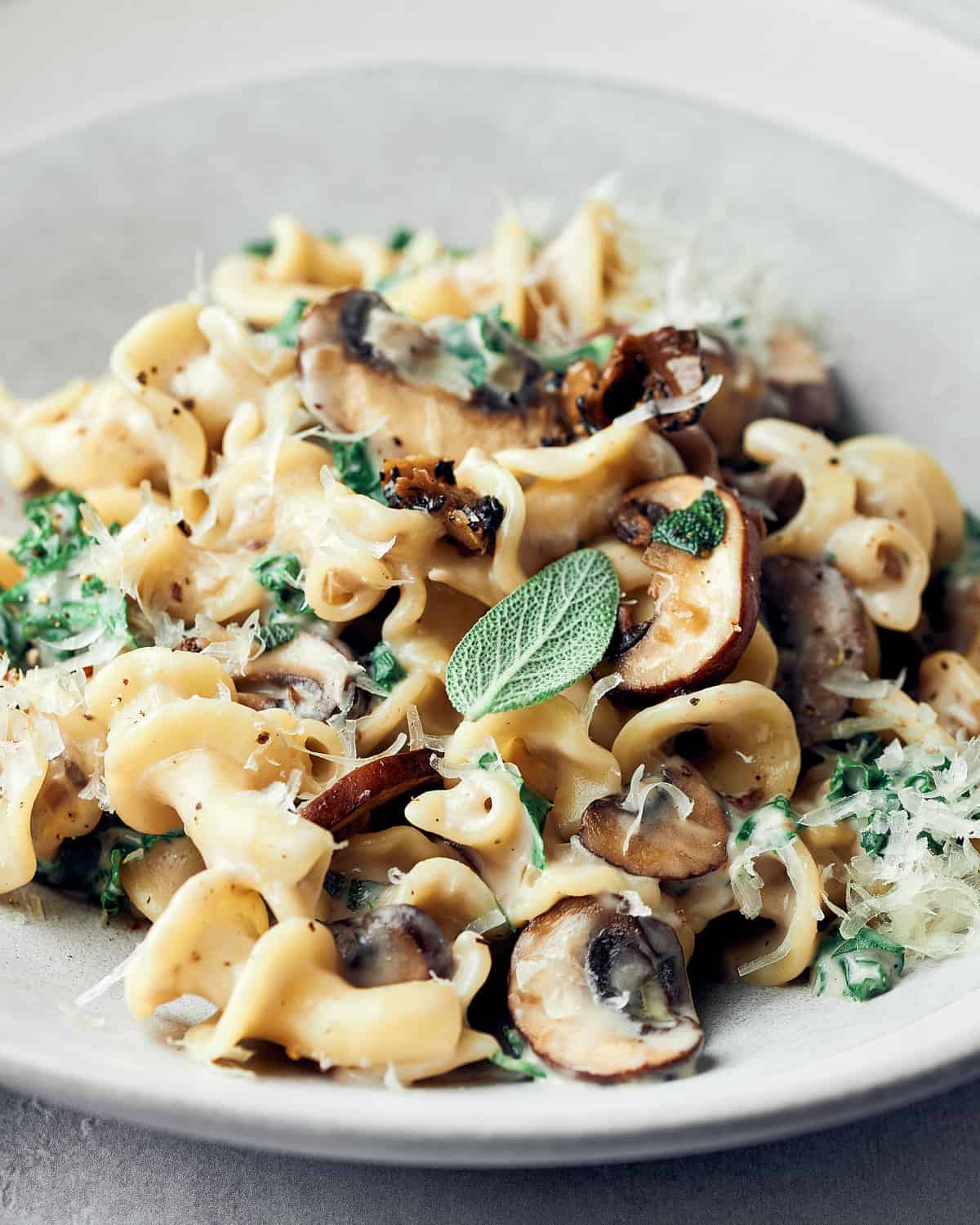 Closeup side view of vegan creamy mushroom pasta with accent sage leaf.