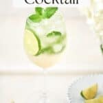 Pin for Hugo Spritz Cocktail Recipe on Resplendent Kitchen blog.