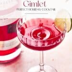 Pin for Pomegranate Gimlet Cocktail.