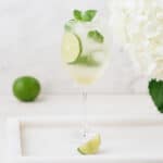 Side view of Hugo Spritz Cocktail garnished with mint.