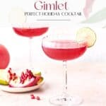 Pin for Pomegranate Gimlet Cocktail on Resplendent Kitchen.