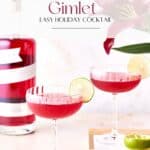 Pin for Pomegranate Gimlet Cocktail with Empress 1908 Elderflower Rose Gin.