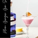 Pin for Plum Ginger Gin Sour Recipe on Resplendent Kitchen blog.