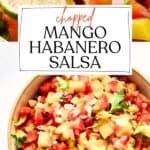 Pin for Mango Habanero Salsa.