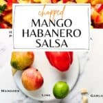 Pin for Mango Habanero Salsa.