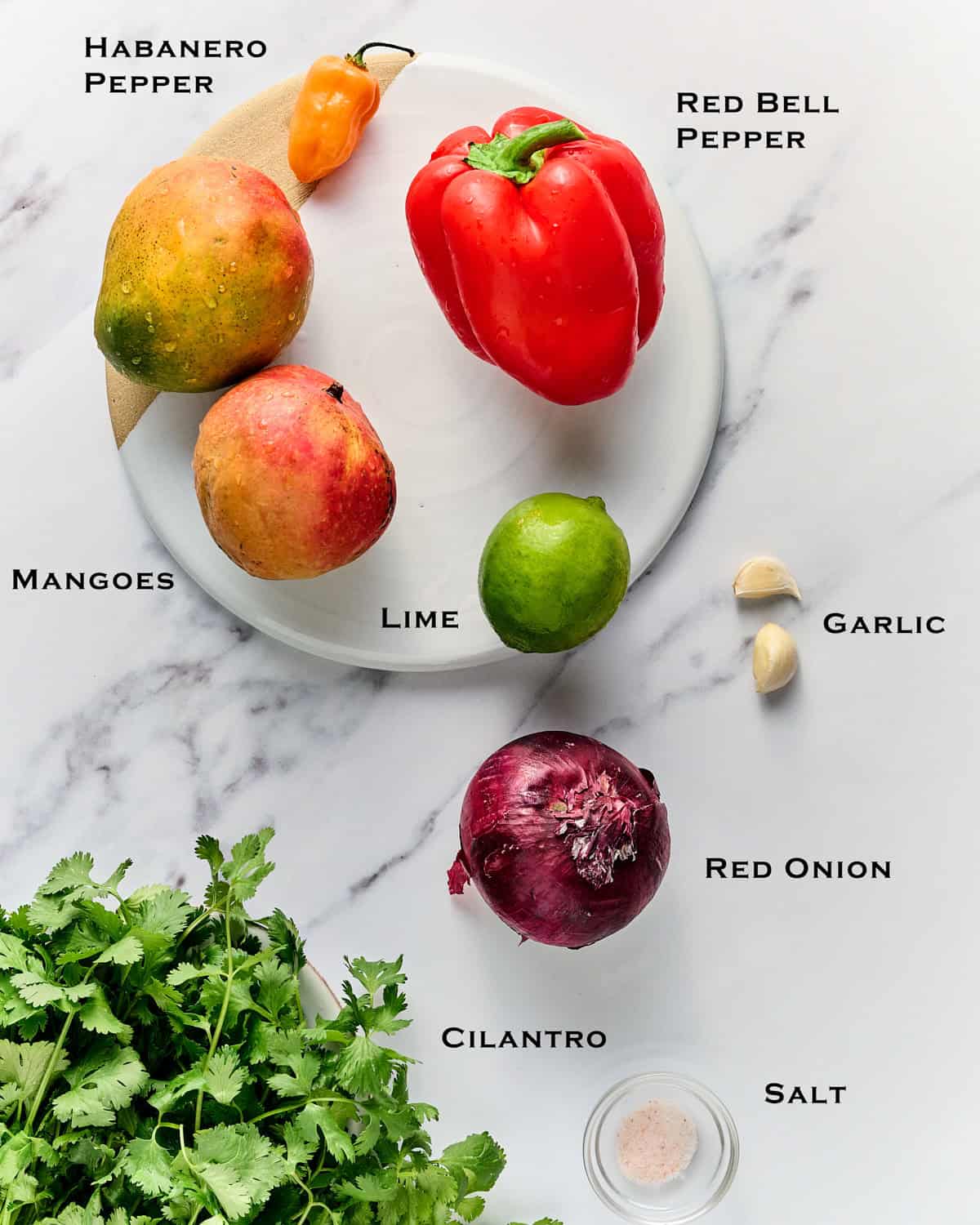 Ingredients to make Mango Habanero Salsa.