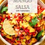 Pin for Mango Habanero Salsa recipe on Resplendent Kitchen blog.