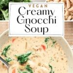 Pin for Vegan Creamy Gnocchi Soup recipe on Resplendent Kitchen blog.