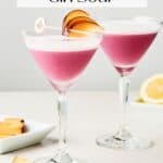 Pin for Plum Ginger Gin Sour recipe on Resplendent Kitchen blog.