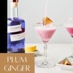 Pin for Plum Ginger Gin Sour Cocktail on Resplendent Kitchen blog.