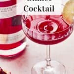 Pin for Pomegranate Gimlet Cocktail.