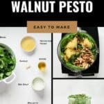 Pin for Vegan Walnut Pesto recipe on Resplendent Kitchen blog.
